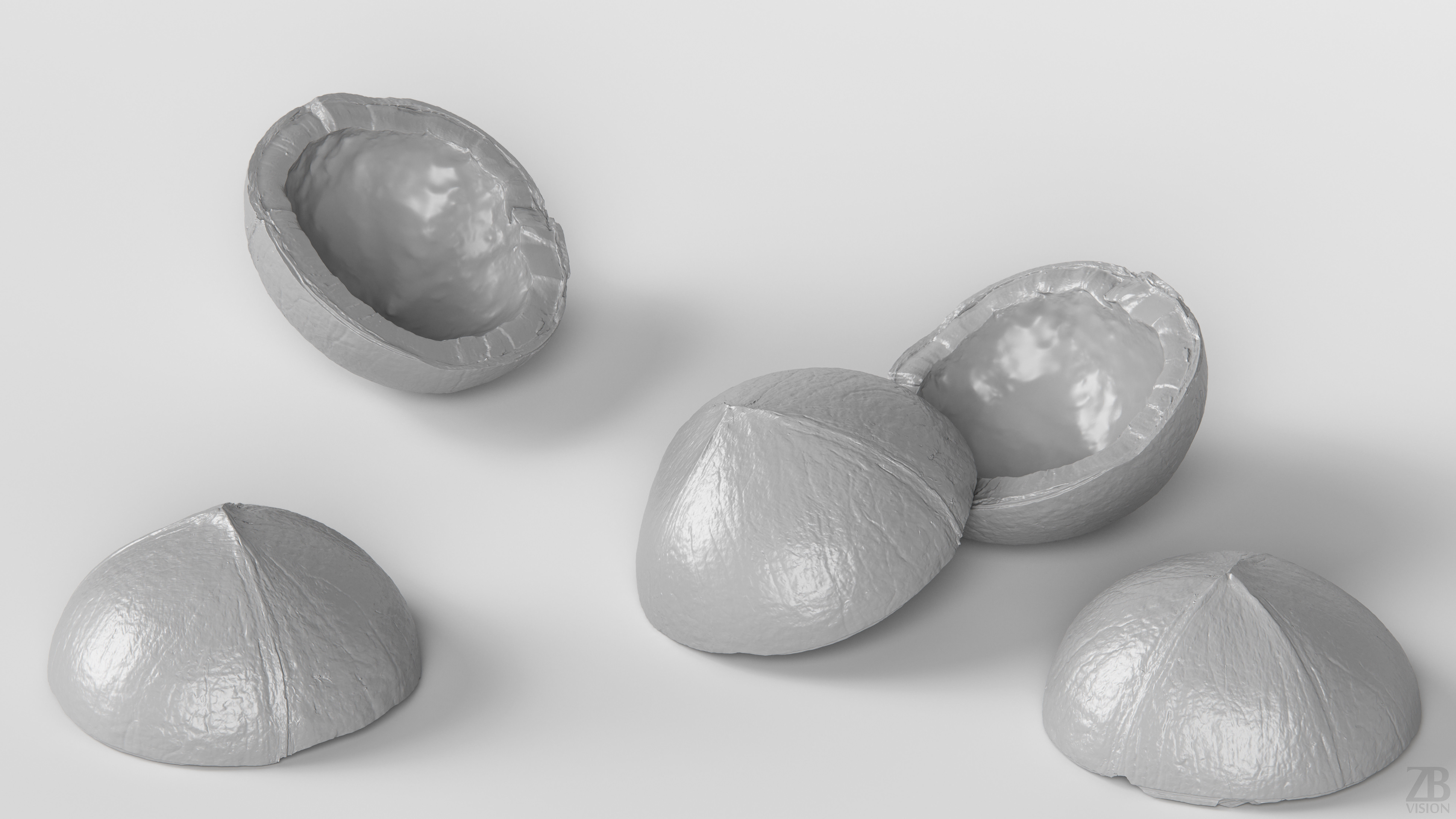 Coconut 3D model_3