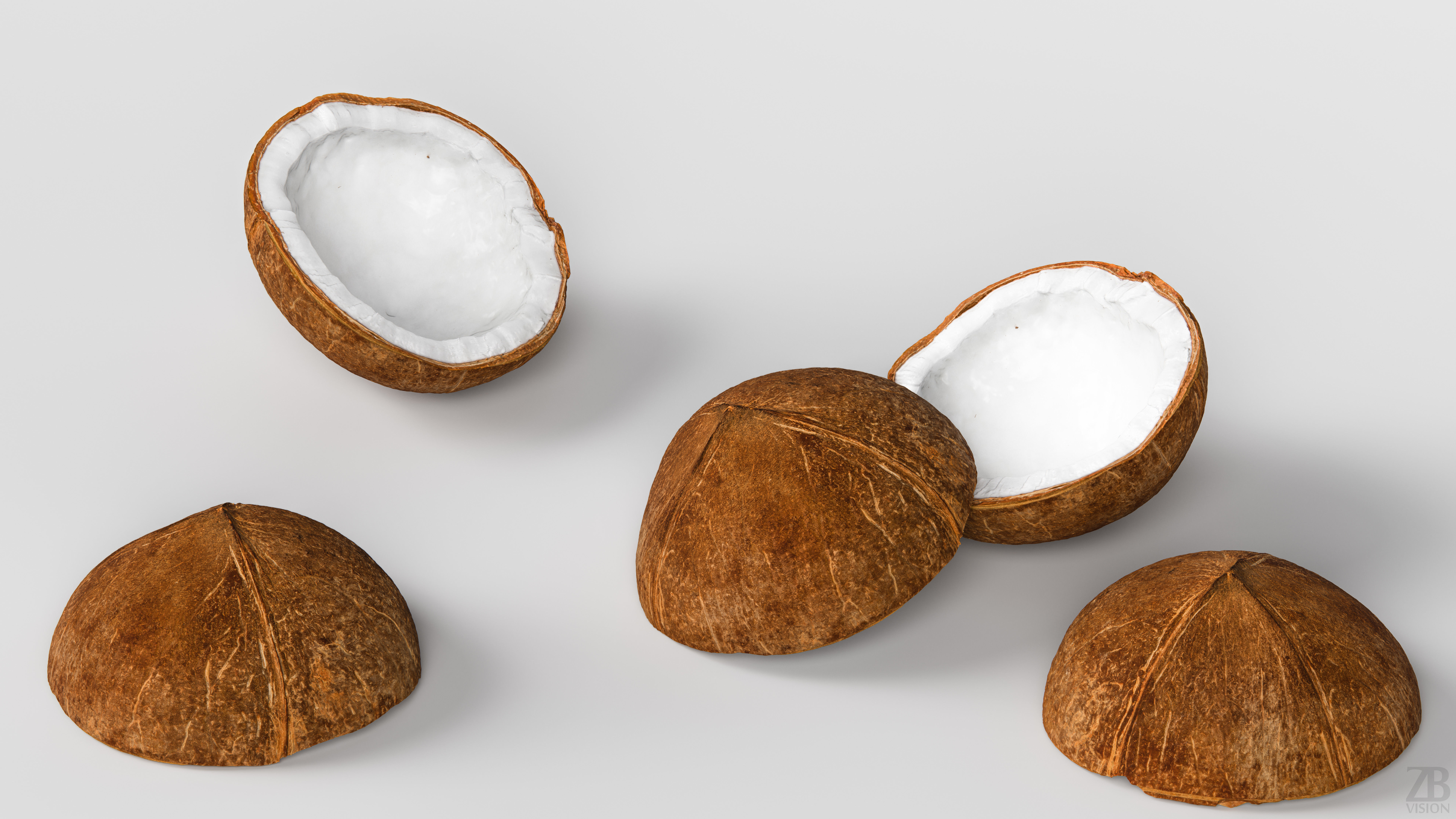 Coconut 3D model_2