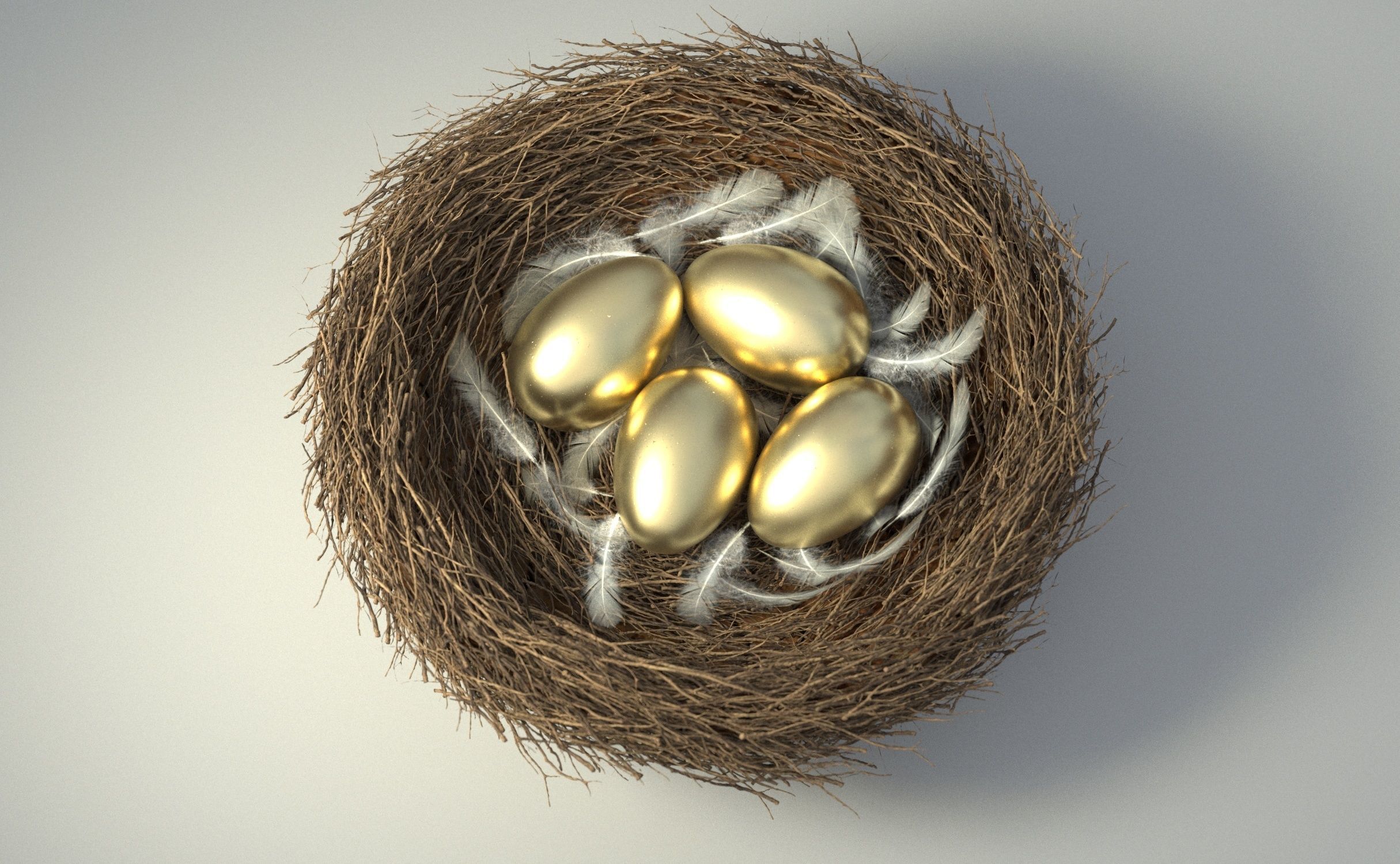 Birds Nest 3D model_5