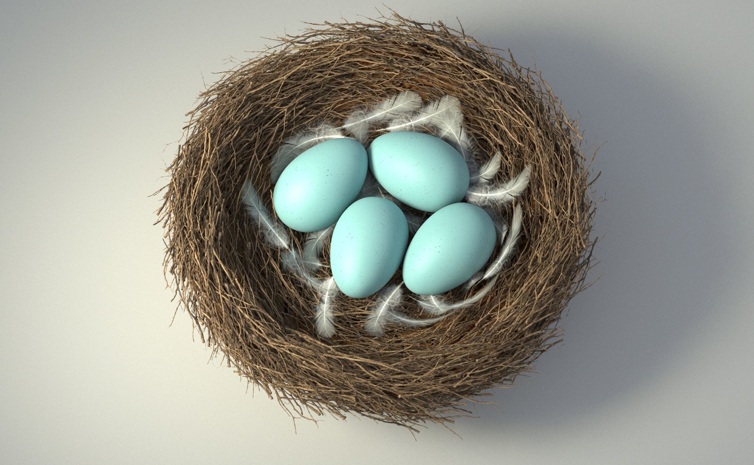 Birds Nest 3D model_6