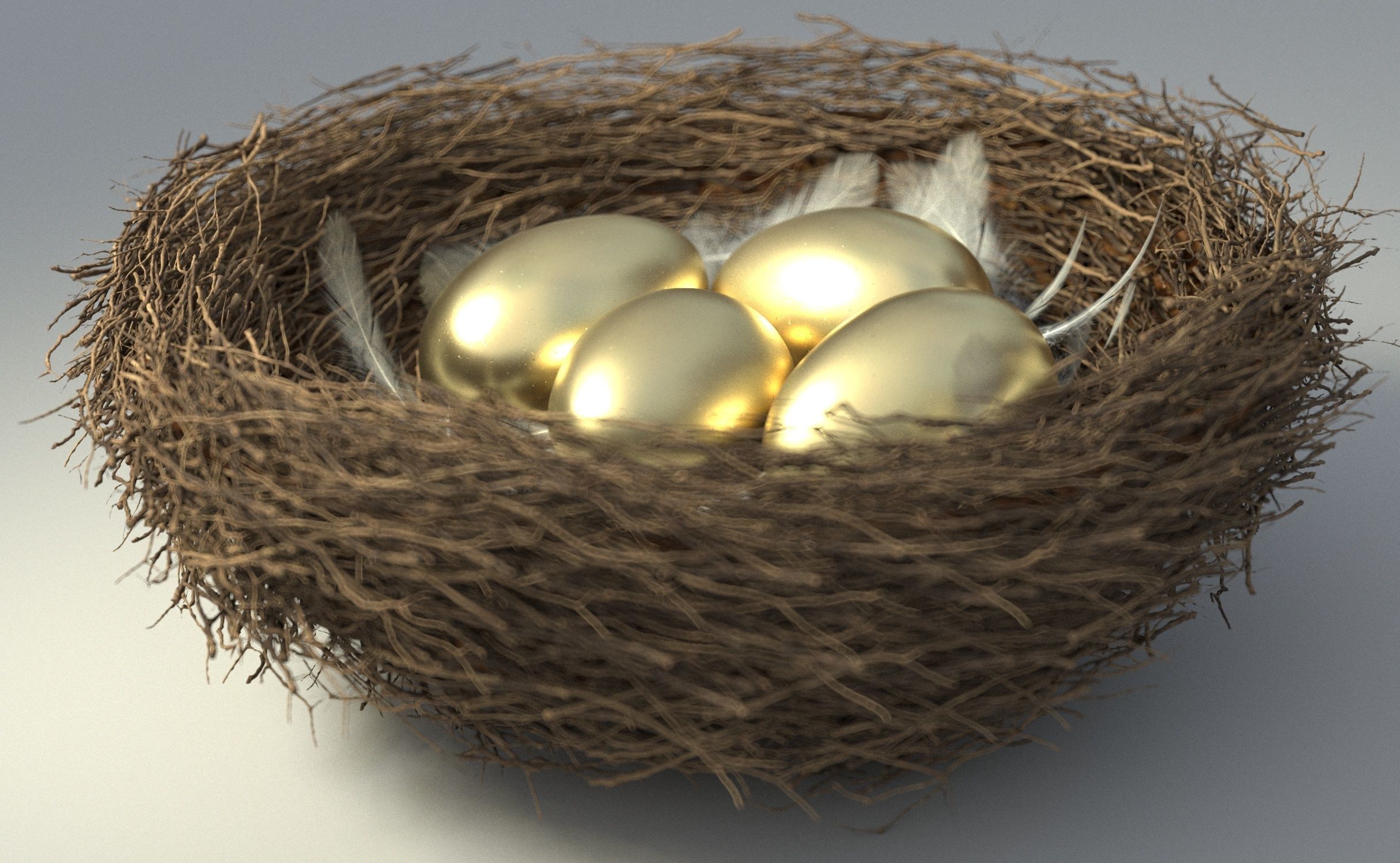 Birds Nest 3D model_3