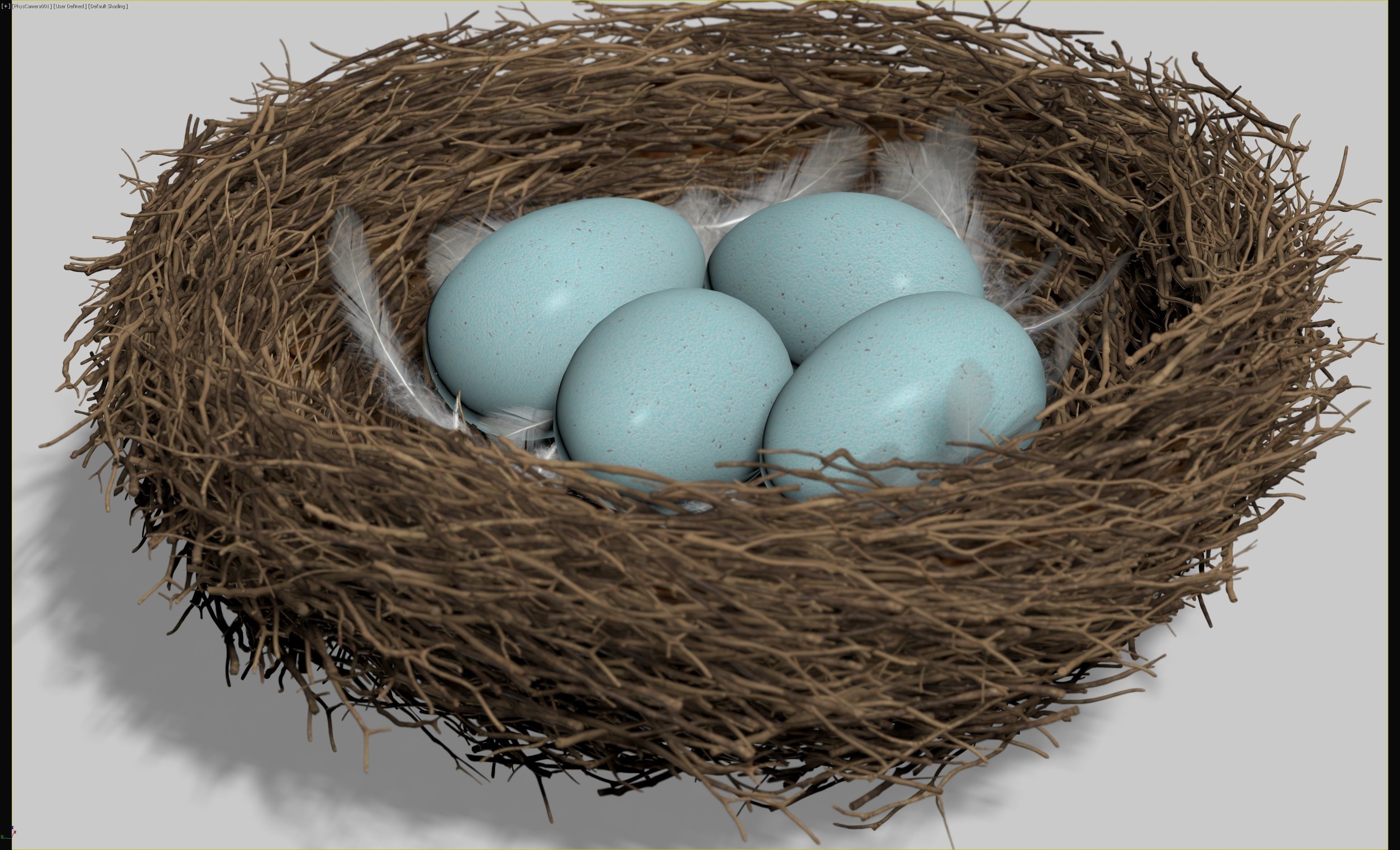 Birds Nest 3D model_9