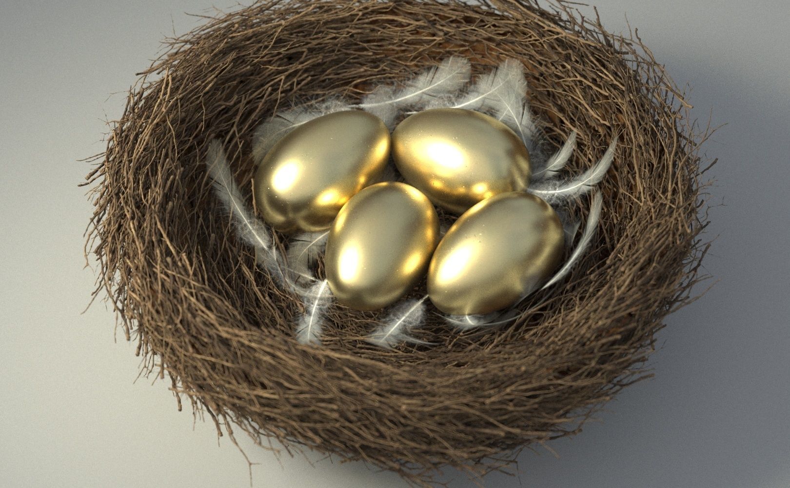 Birds Nest 3D model_1