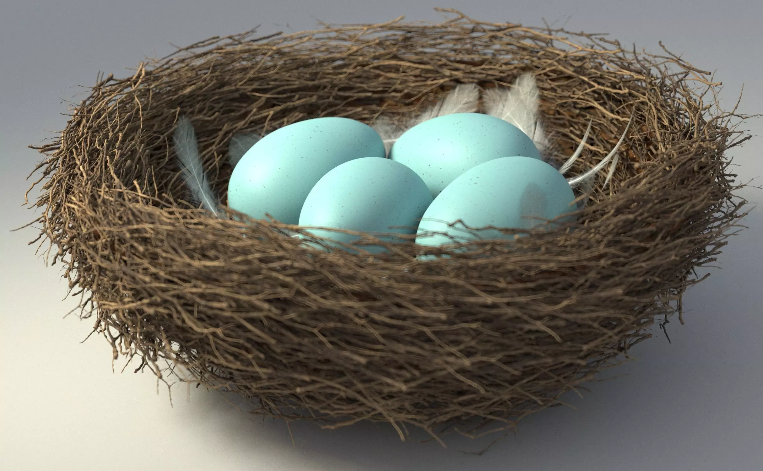 Birds Nest 3D model_0