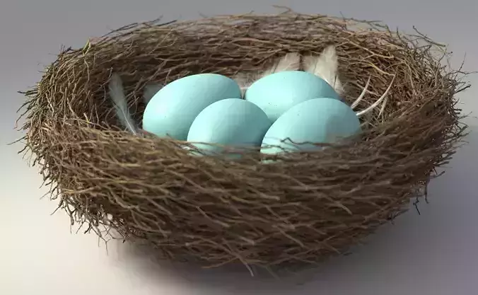 Birds Nest 3D model