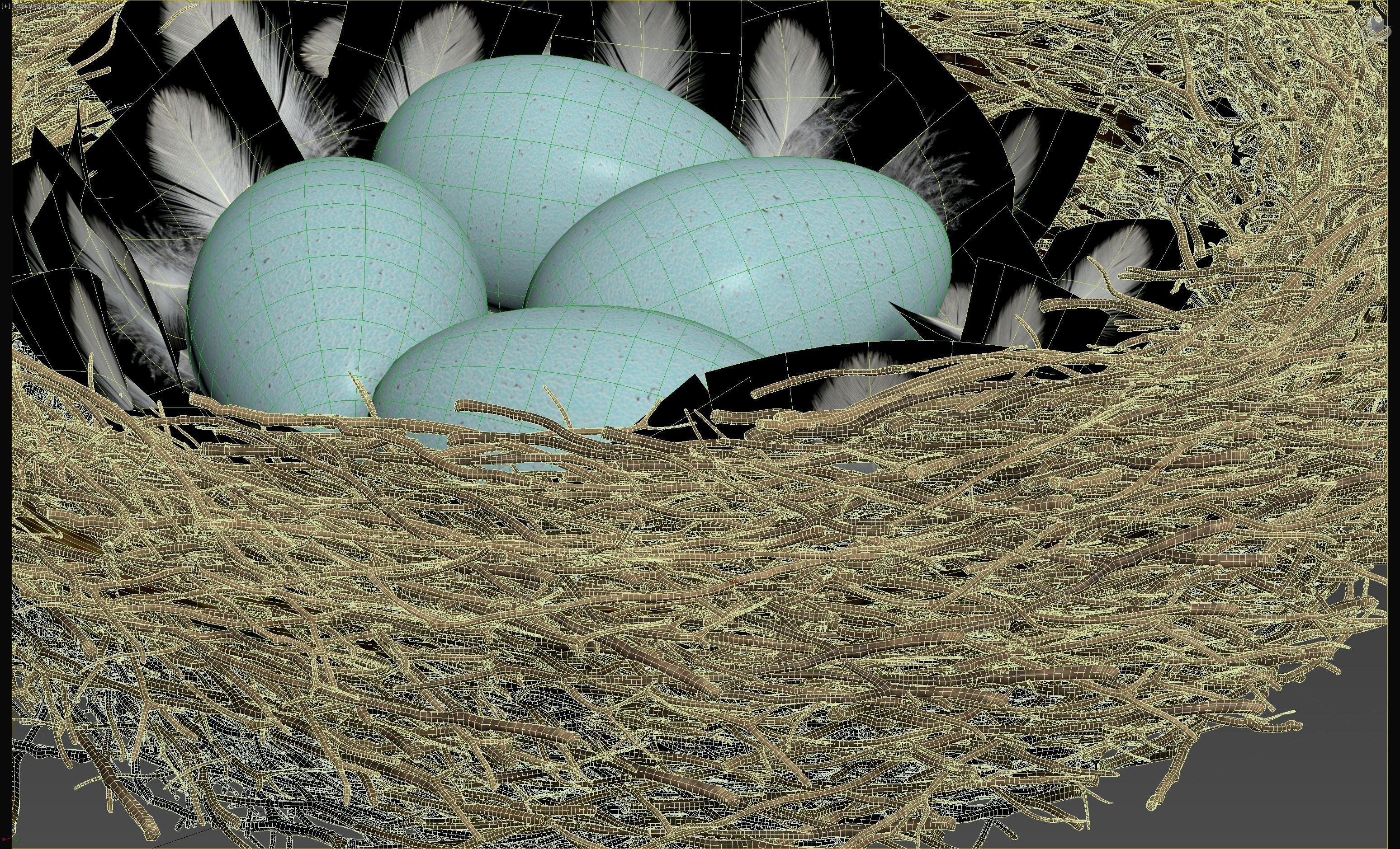 Birds Nest 3D model_11