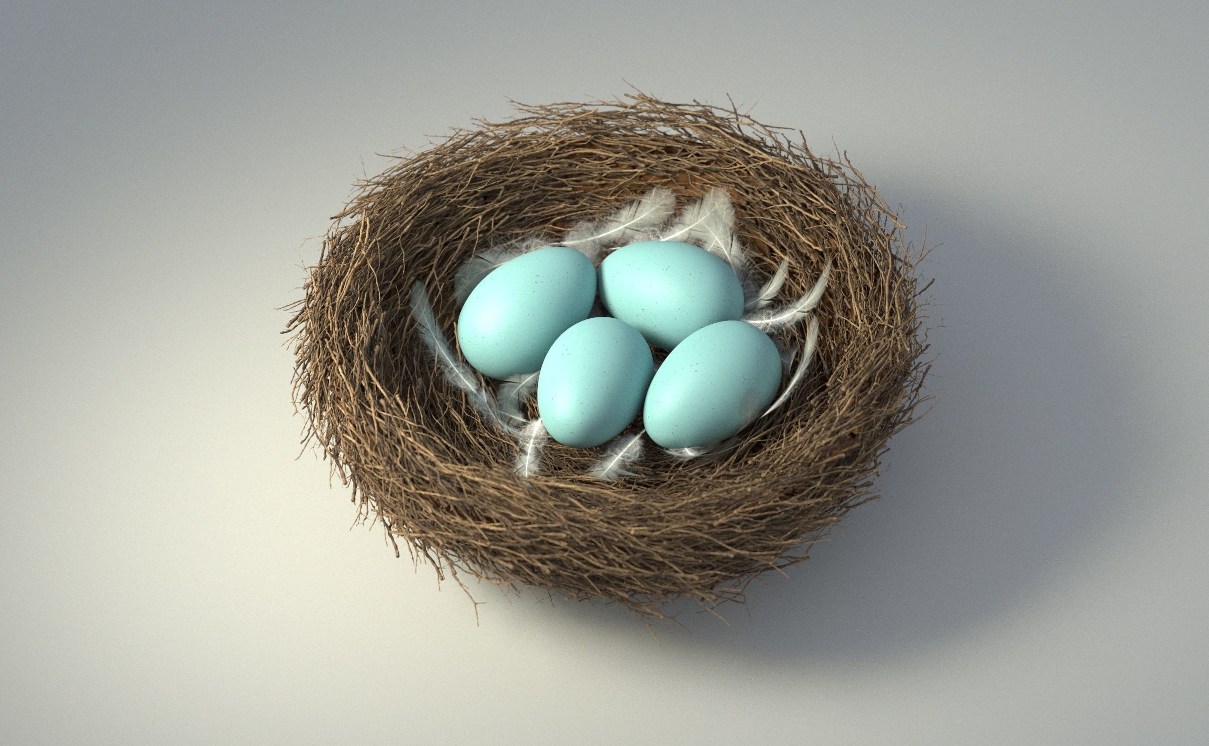 Birds Nest 3D model_2
