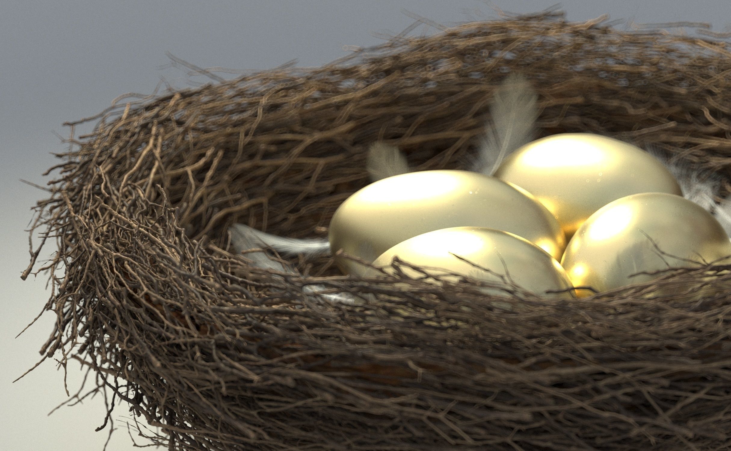 Birds Nest 3D model_7