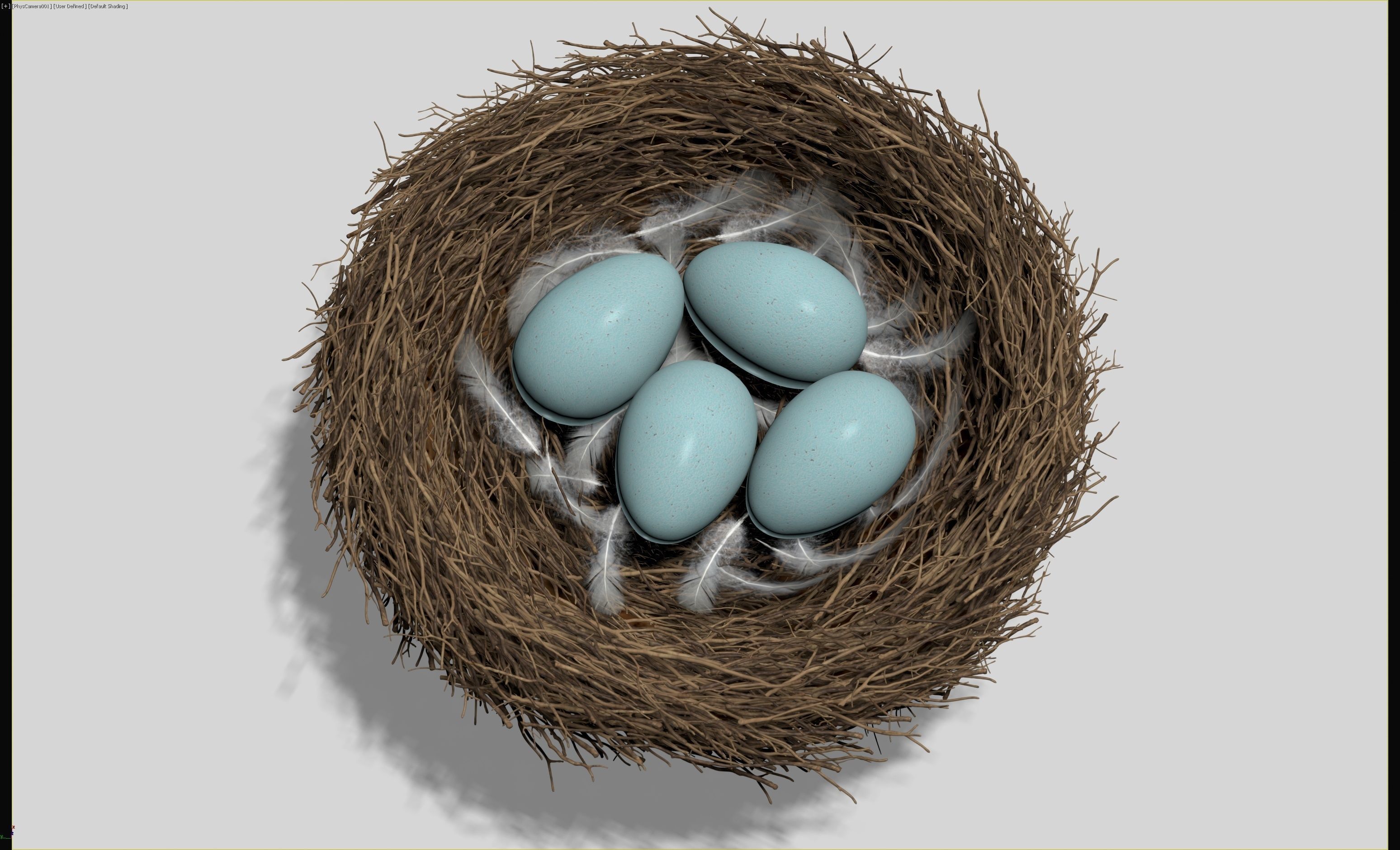 Birds Nest 3D model_10