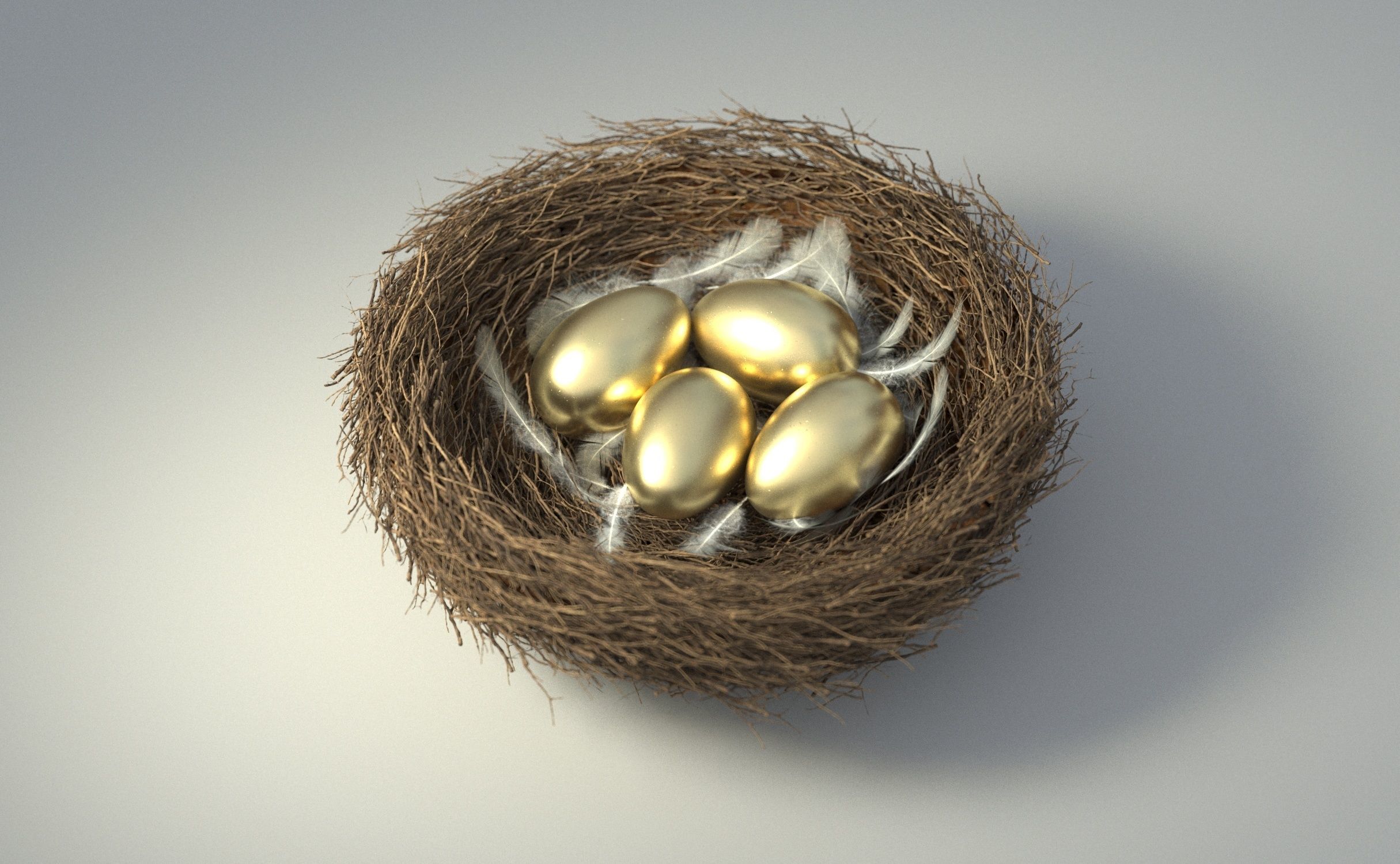 Birds Nest 3D model_8
