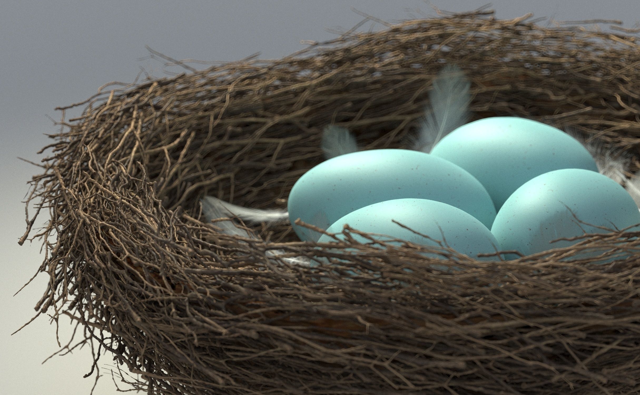 Birds Nest 3D model_4