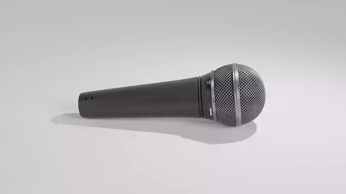 Microphone
