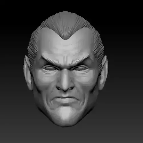 BA Head Serious  3D print model