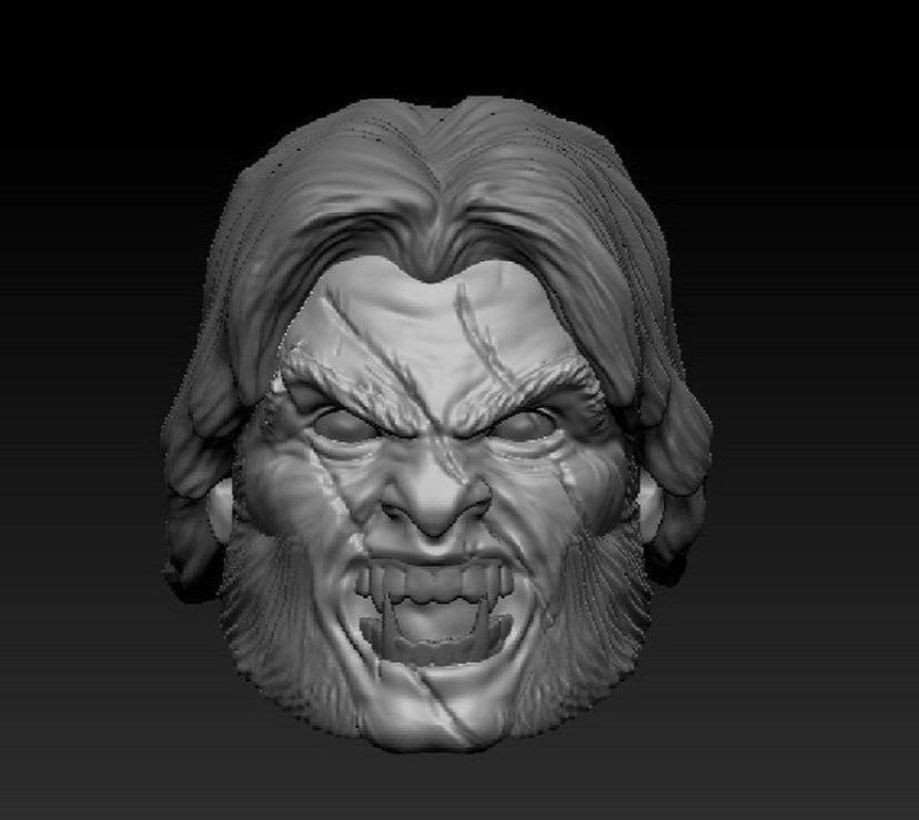 Sabes ML Bundle  3D print model_1