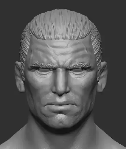 Bradstreet Style Punisher 