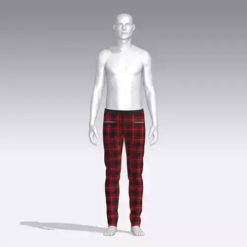 Pants mannequin wearing plaid