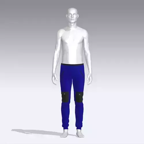 Pants pair of leggings