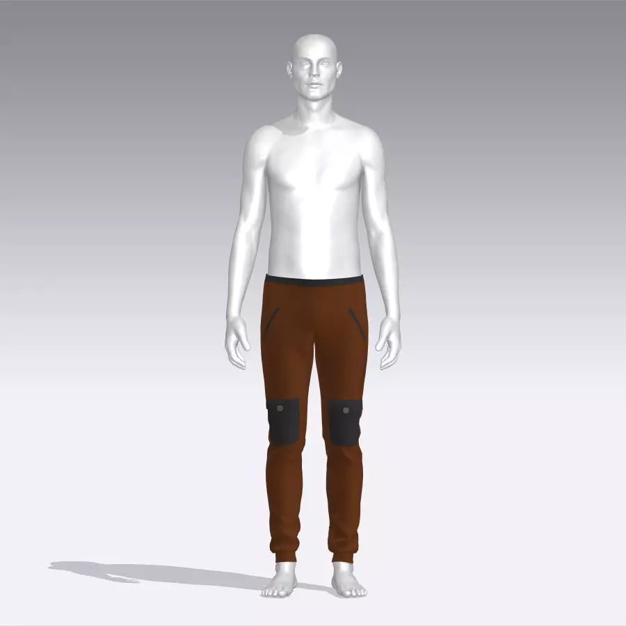 Pants Low-poly 3D model_0