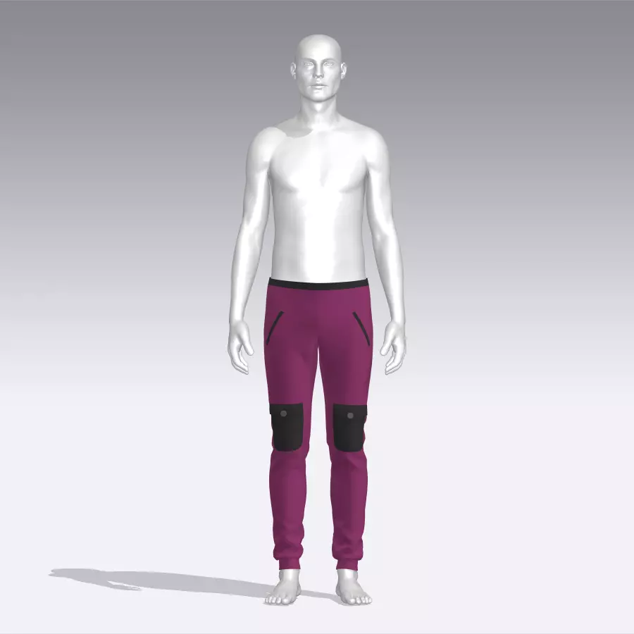 Pants Low-poly 3D model_0