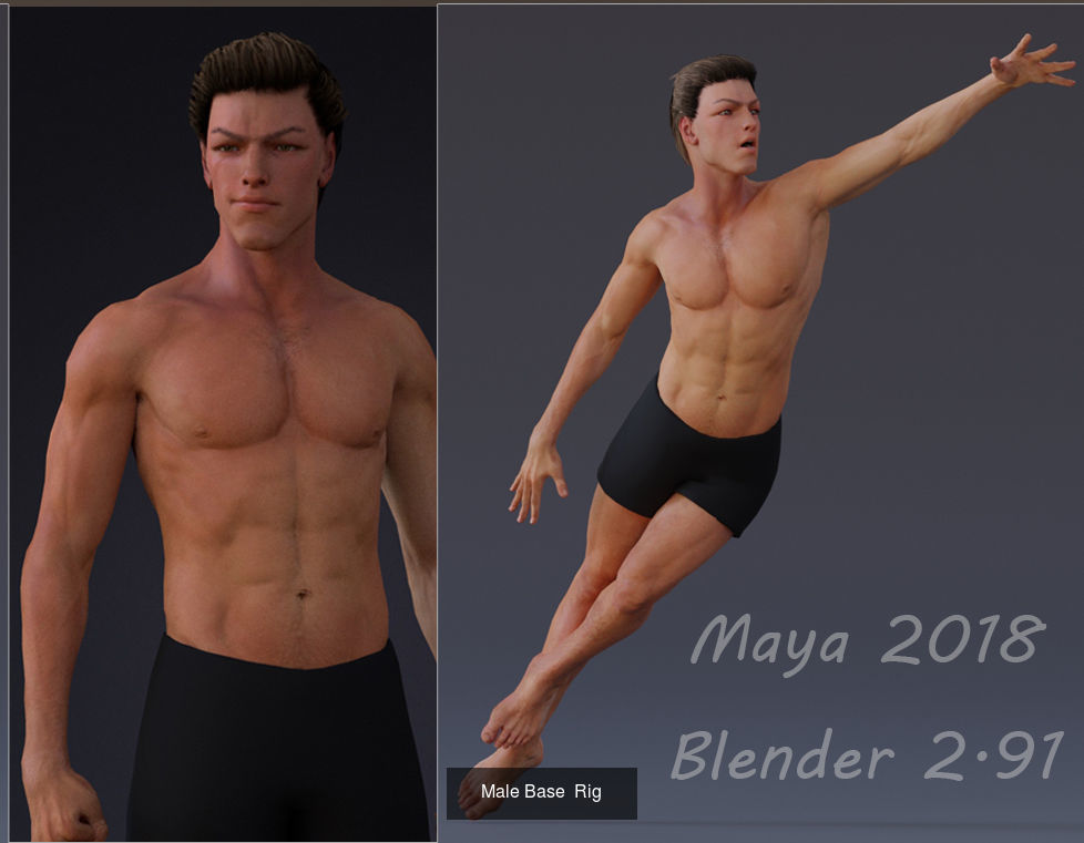 Male Base Rig 4 3D Model Collection_10