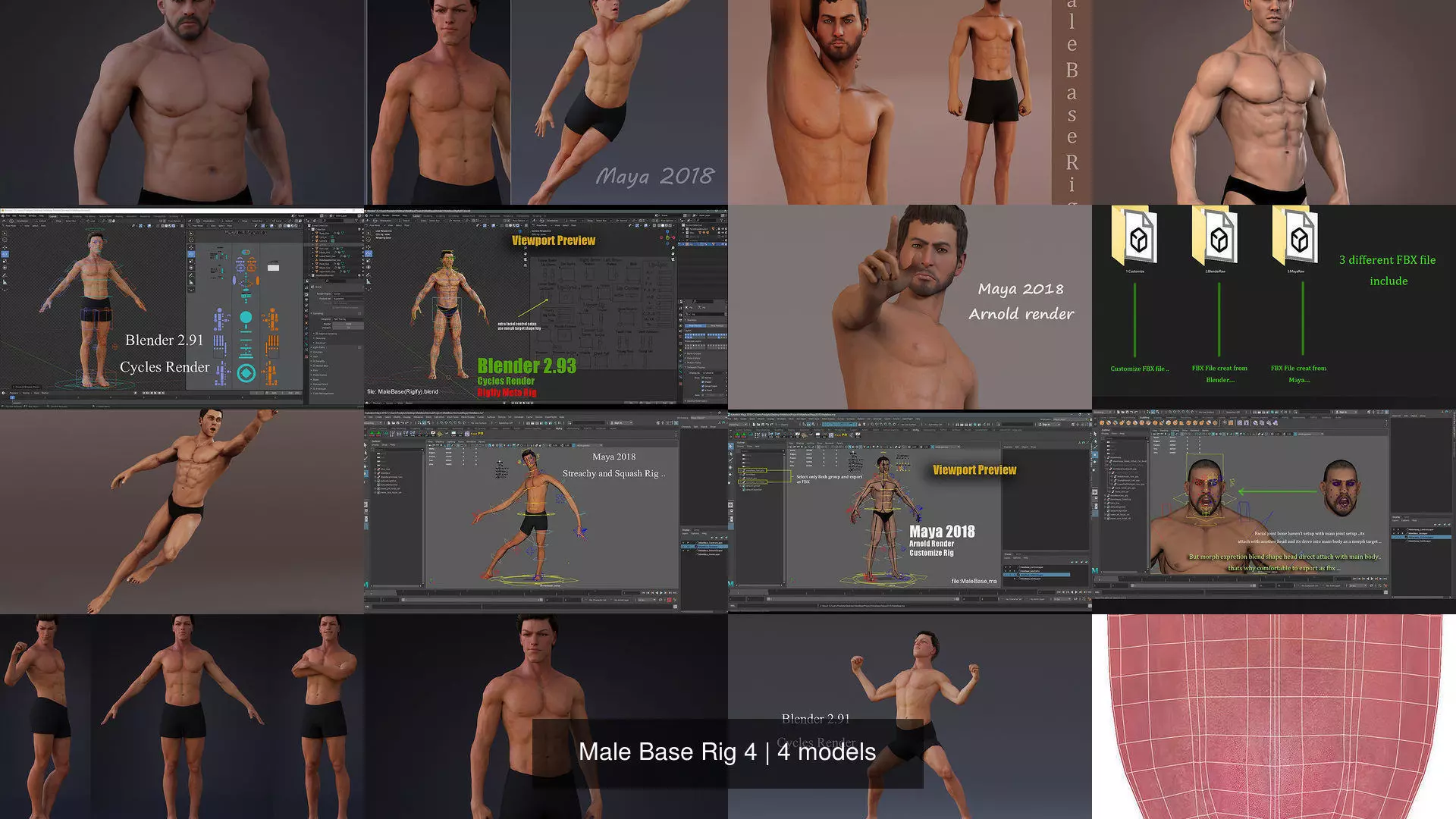 Male Base Rig 4 3D Model Collection_8