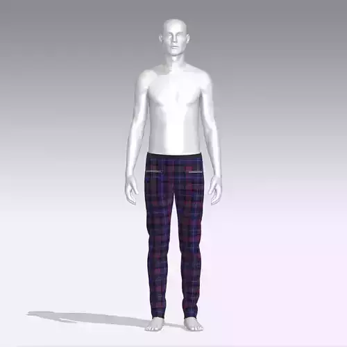 Pants mannequin wearing plaid