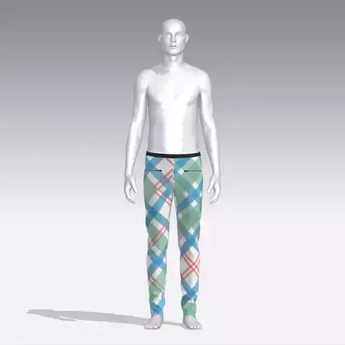 Pants mannequin wearing plaid