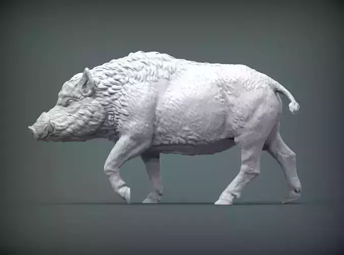 A wild boar 3D print model