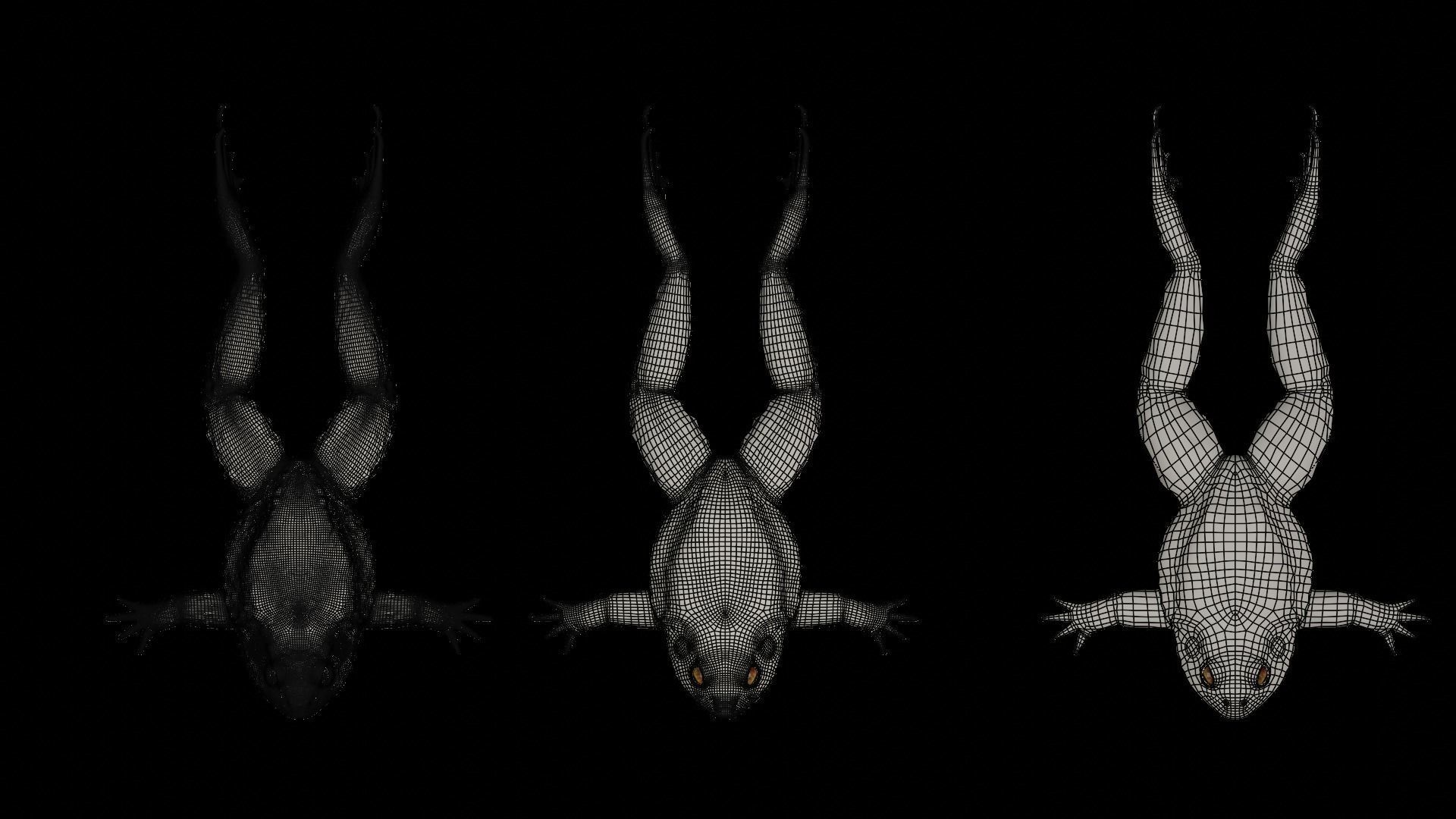 Rigged Toad 3D model_5