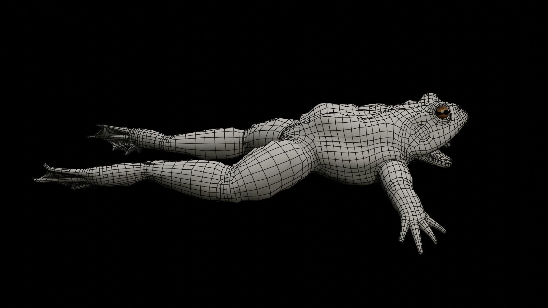 Rigged Toad 3D model_6