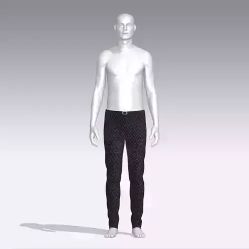 Pants male mannequin wearing