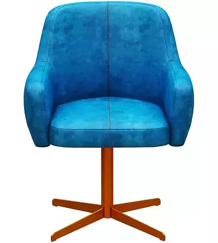 Dining chair Leather and Gold foil