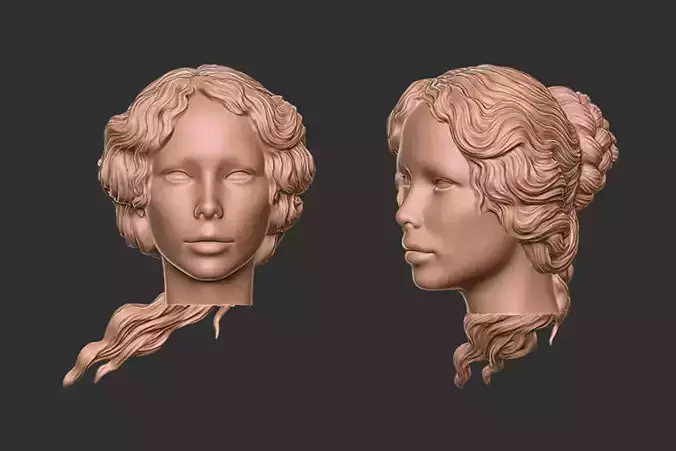 hair 43 3D print model