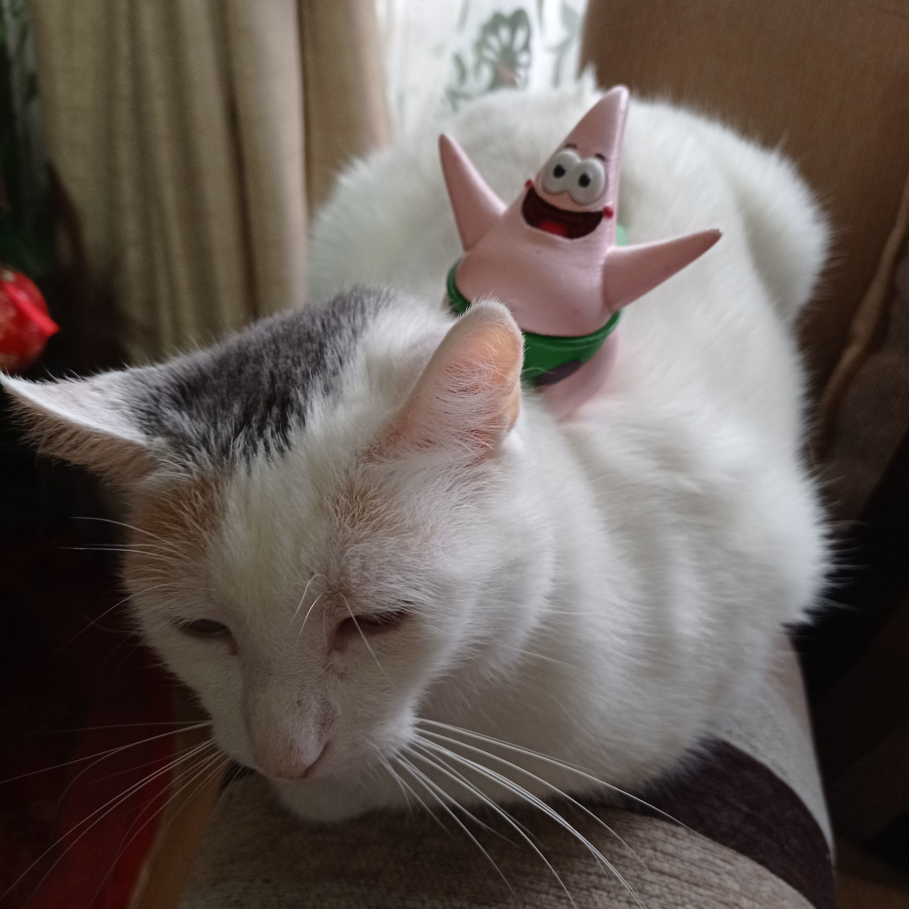 Patrick Christmas Star 3D print model_2