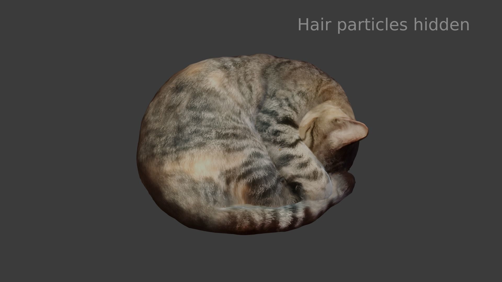 Cat sleeping Low-poly 3D model_6