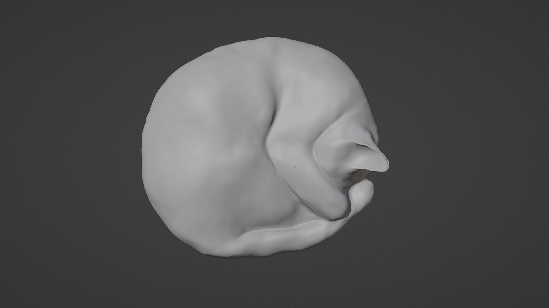 Cat sleeping Low-poly 3D model_10
