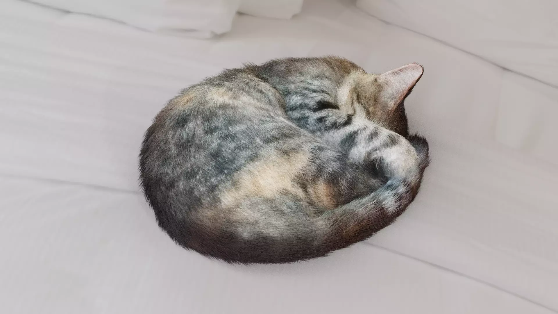 Cat sleeping Low-poly 3D model_0