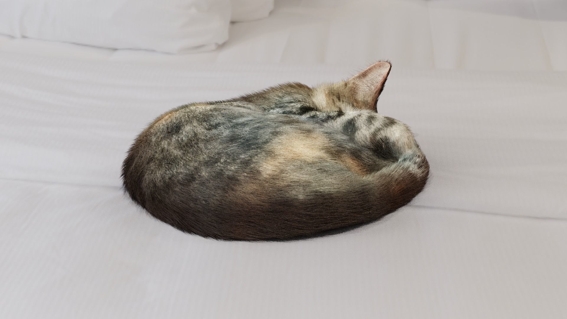 Cat sleeping Low-poly 3D model_4