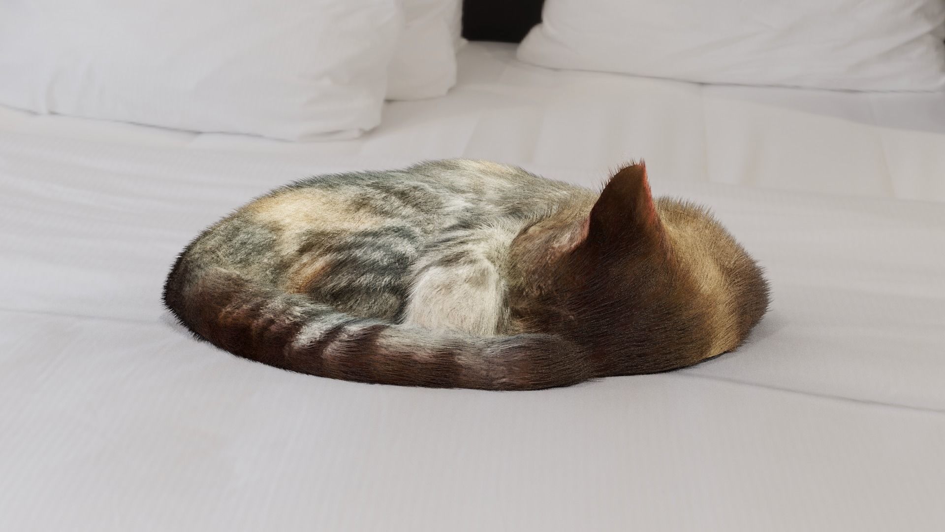 Cat sleeping Low-poly 3D model_3