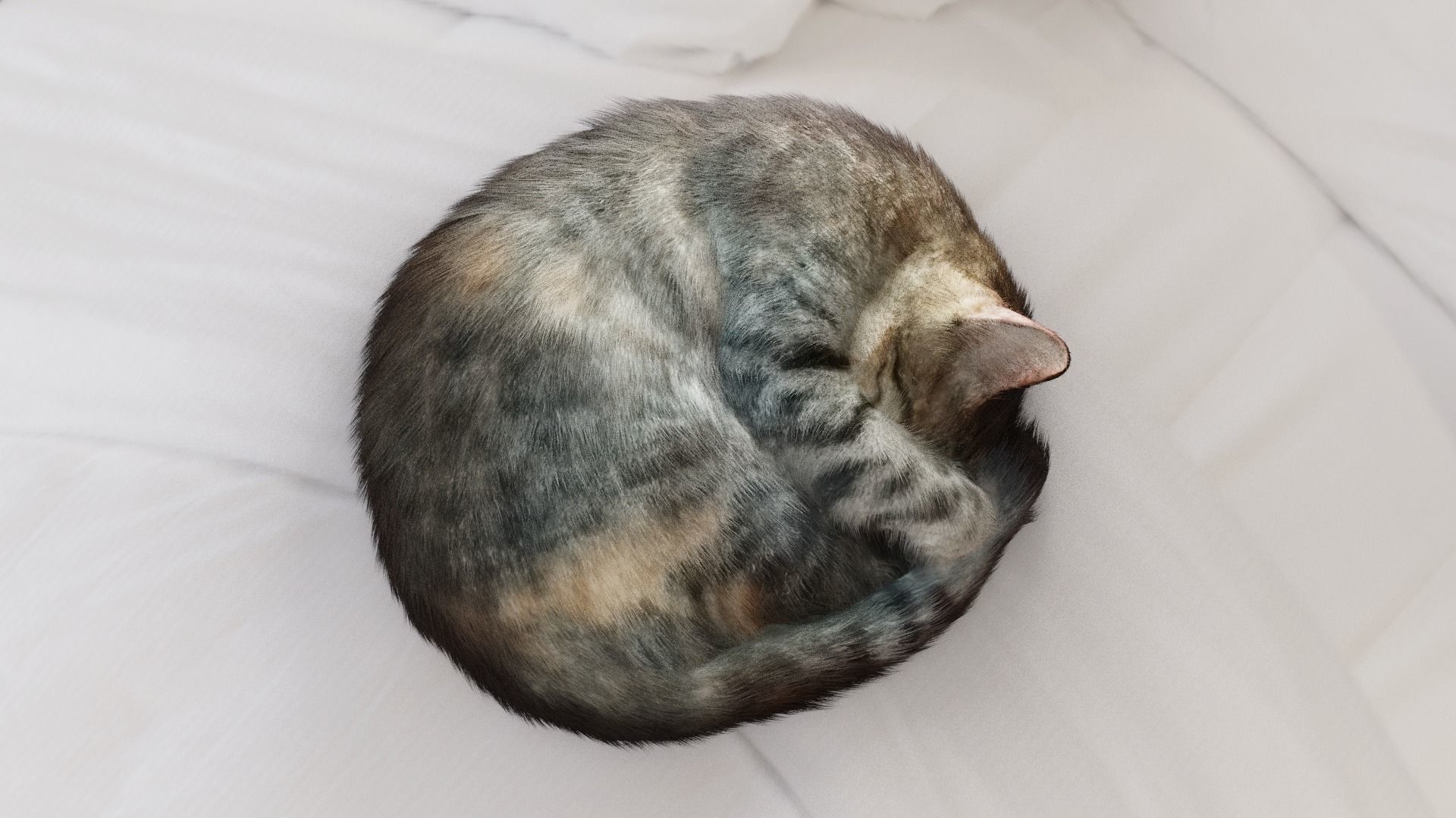 Cat sleeping Low-poly 3D model_1