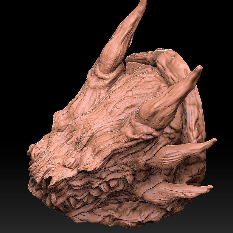 Dragon Head 3D print model_5