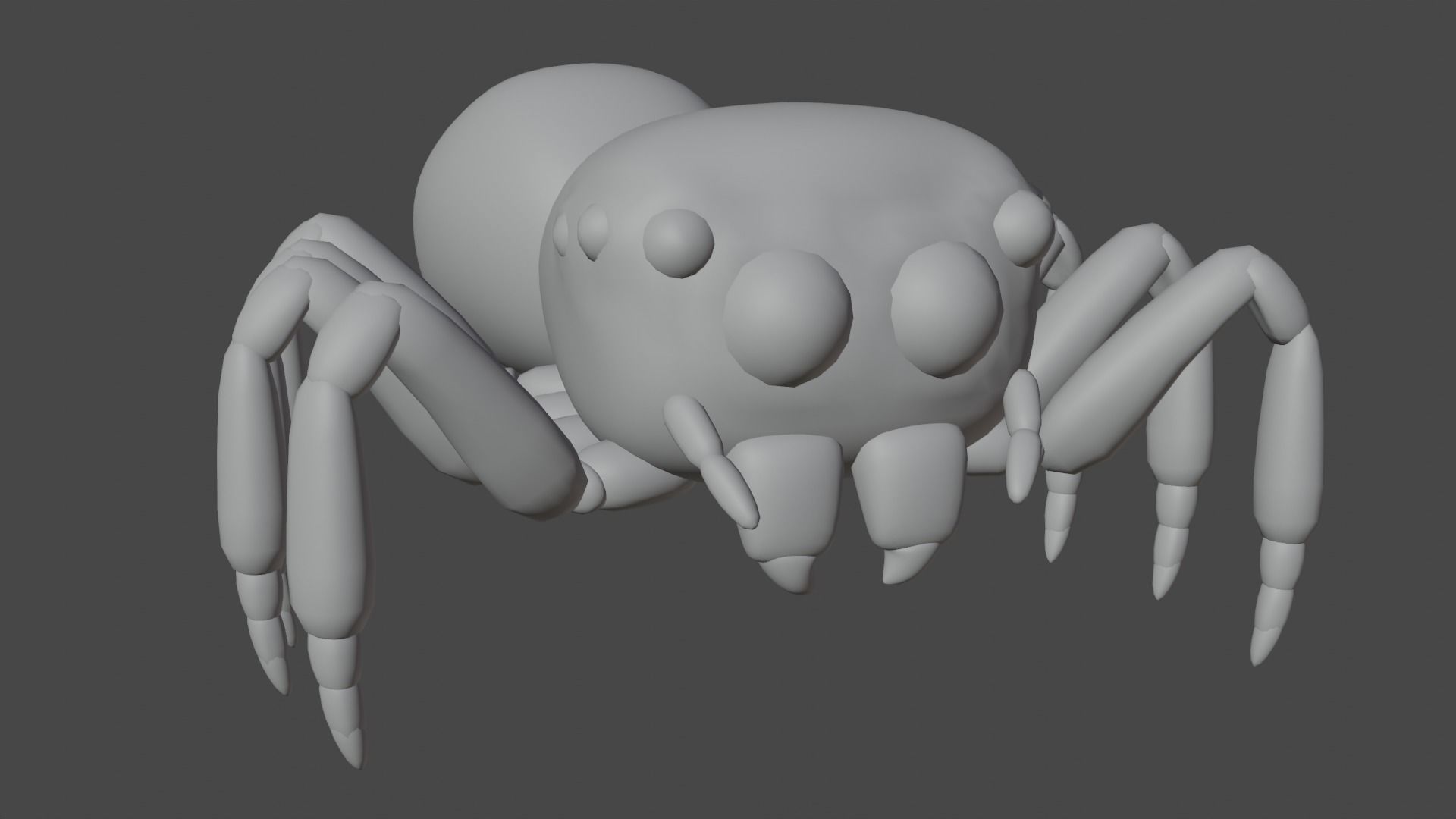 Salticidae spider 3D model_5