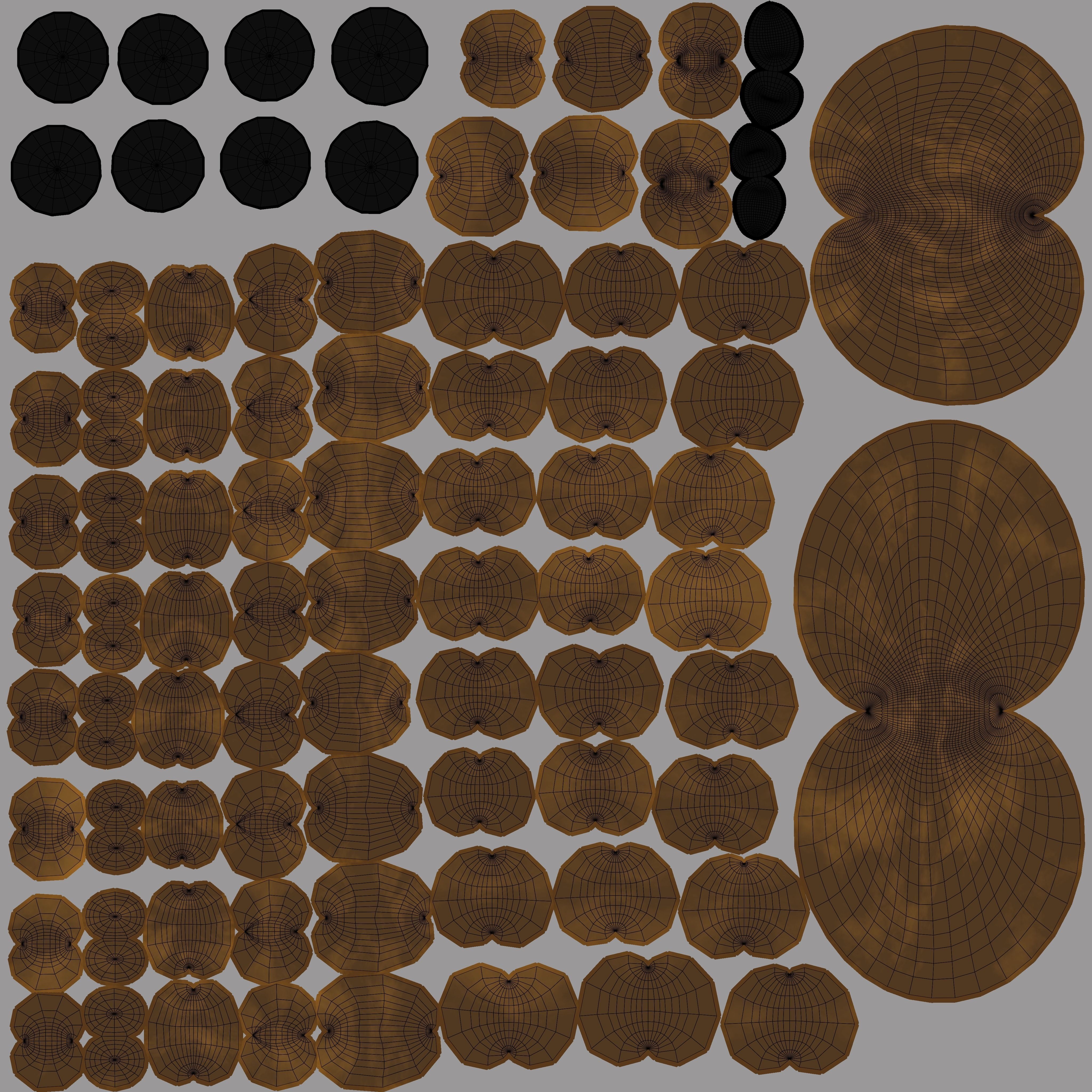 Salticidae spider 3D model_7