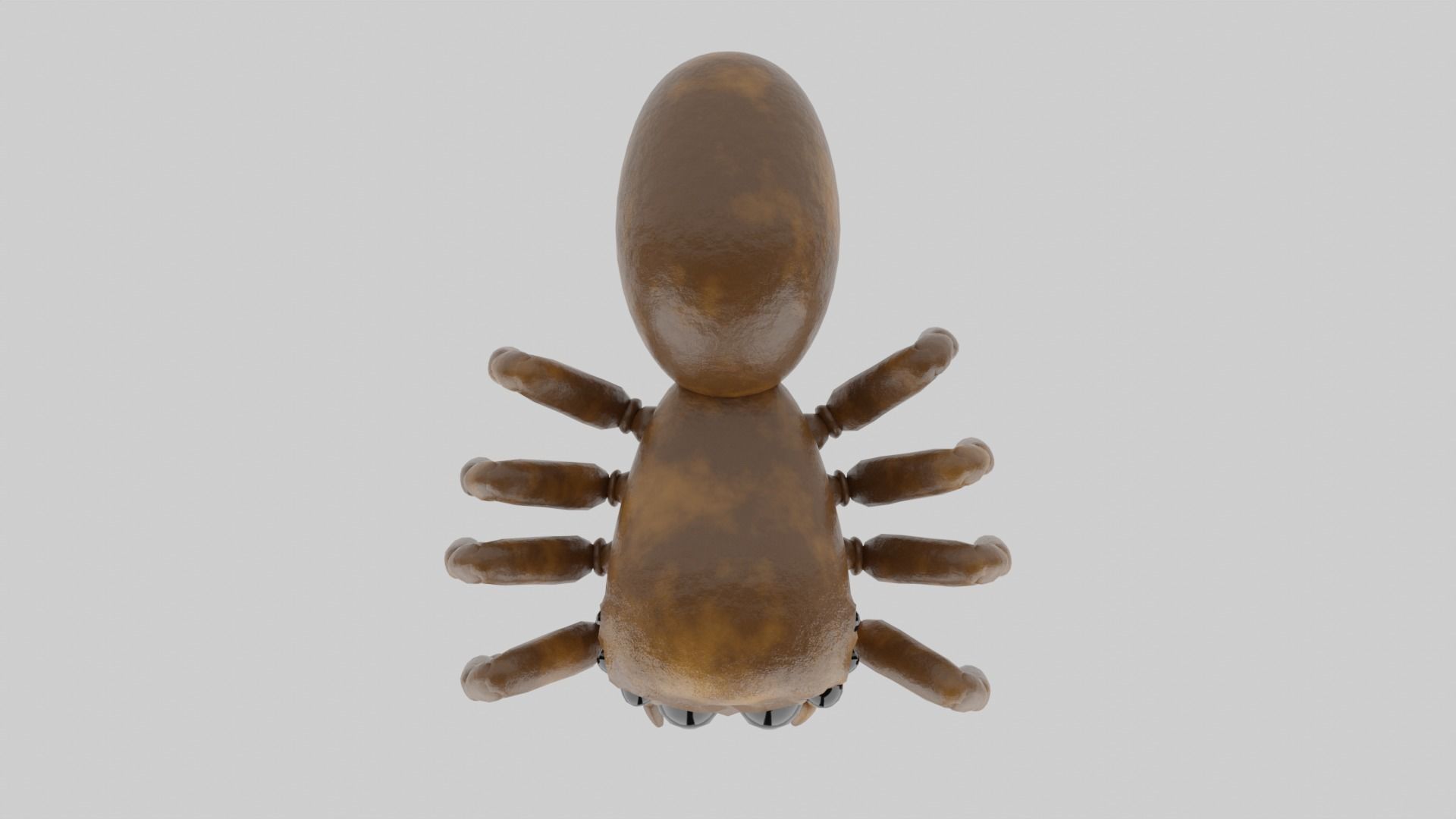 Salticidae spider 3D model_3