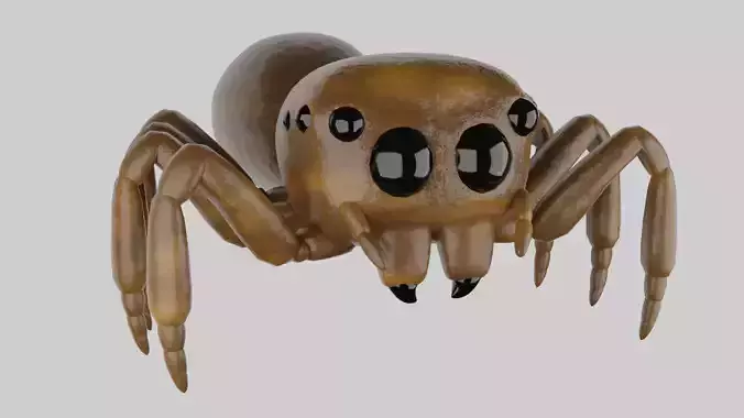 Salticidae spider 3D model