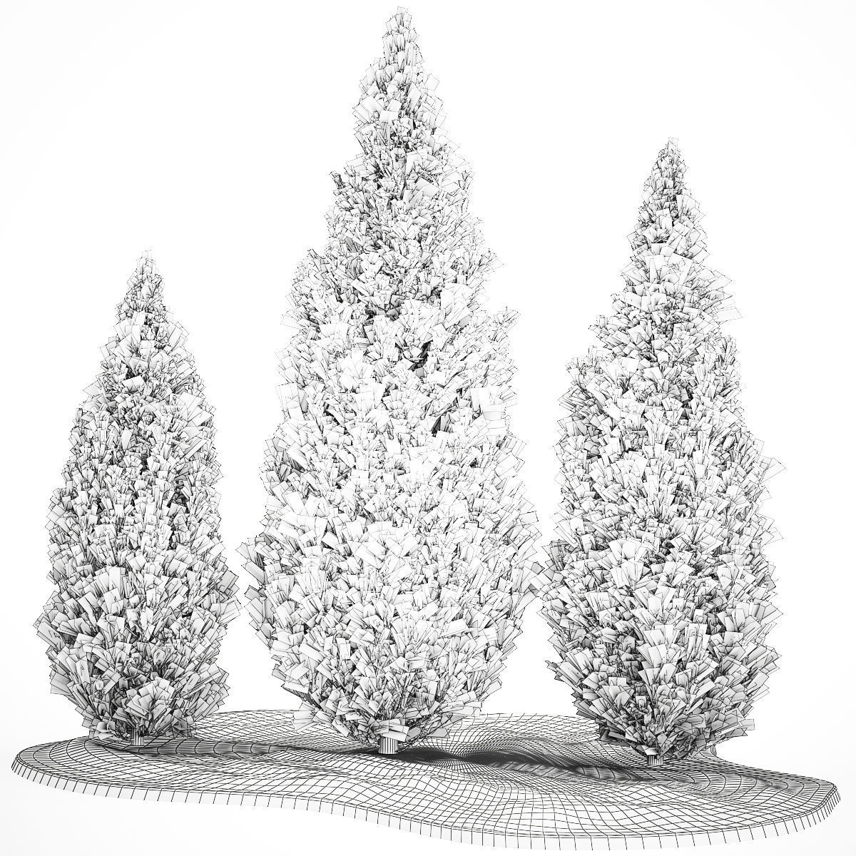 Juniper Thuja And Cypress For Landscape Design 1159 3D model_5