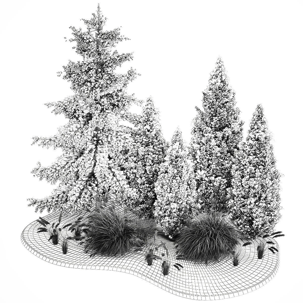 Garden of thuja and cypress trees with Miscanthus bushes 1158 3D model_8