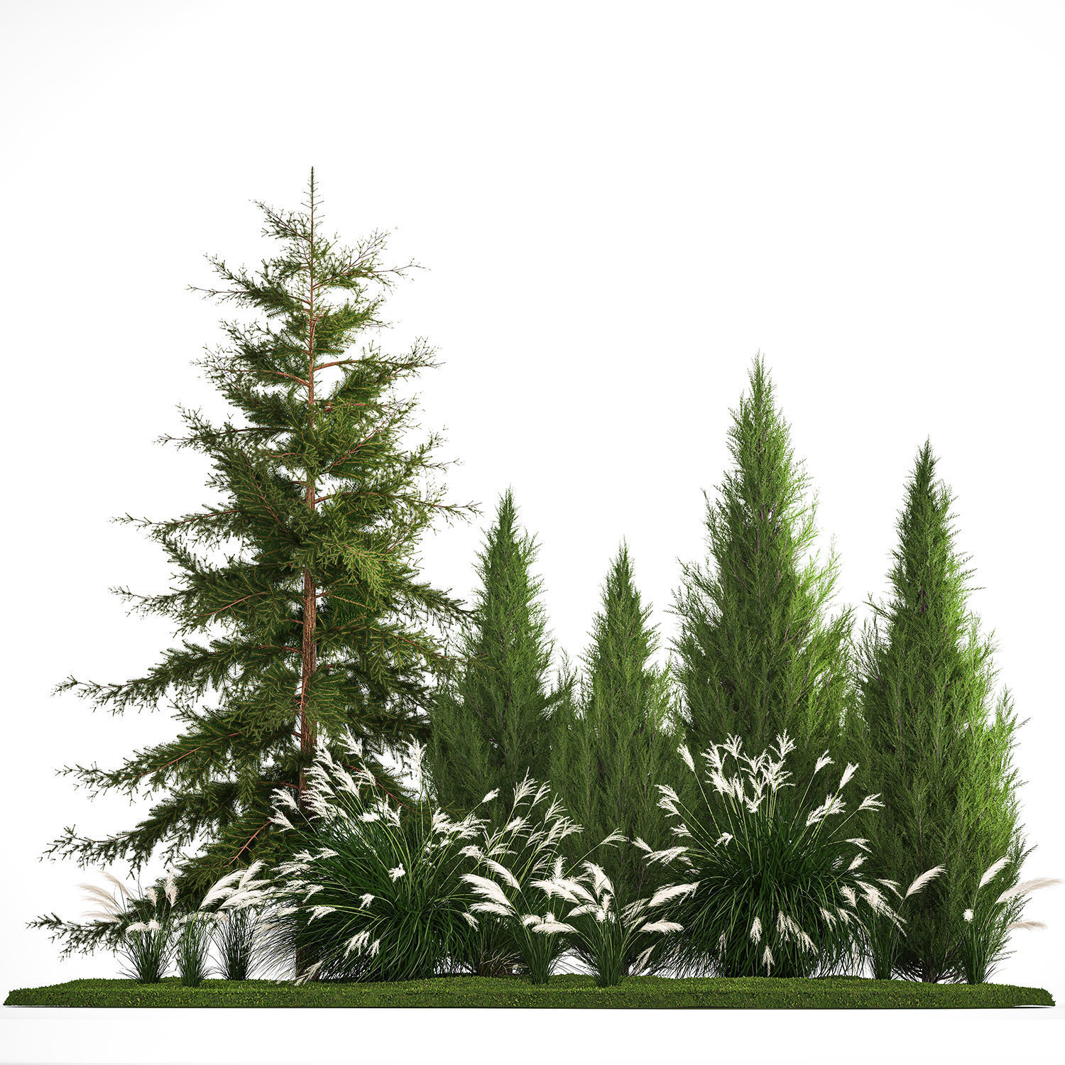 Garden of thuja and cypress trees with Miscanthus bushes 1158 3D model_2