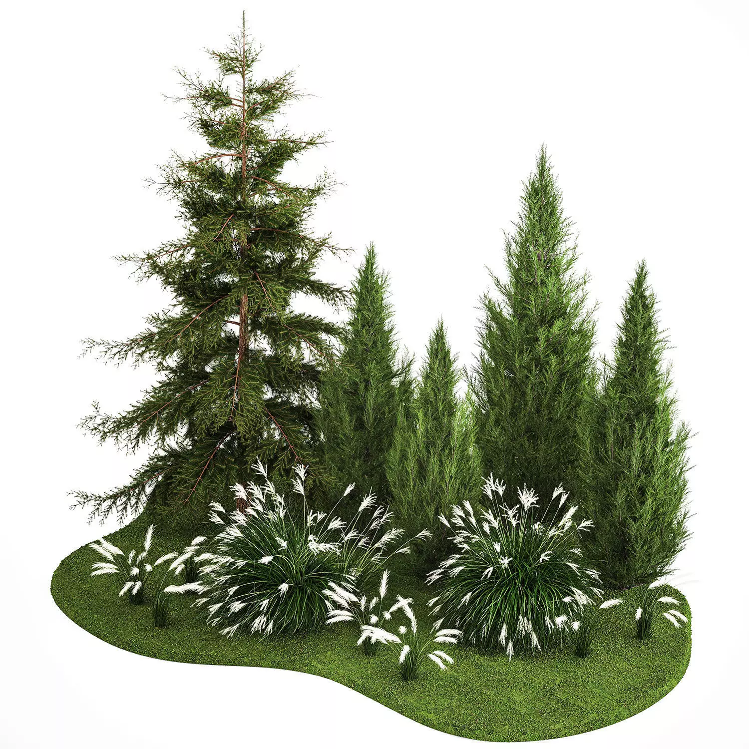 Garden of thuja and cypress trees with Miscanthus bushes 1158 3D model_0