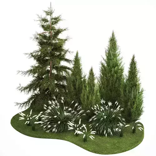 Garden of thuja and cypress trees with Miscanthus bushes 1158 3D model